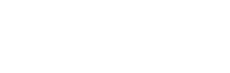 Stelbi Partner Logo